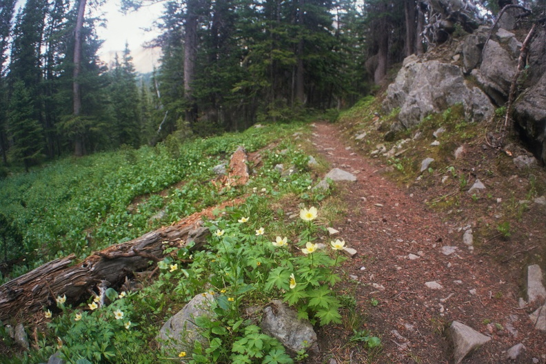 Baker Gulch Trail 2.jpg